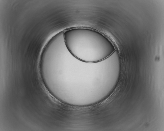 X0000097461072200802220801