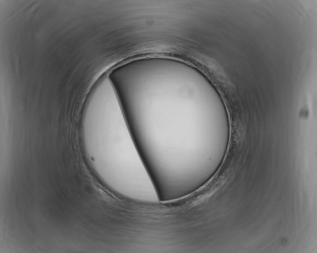 X0000097461073200802220801