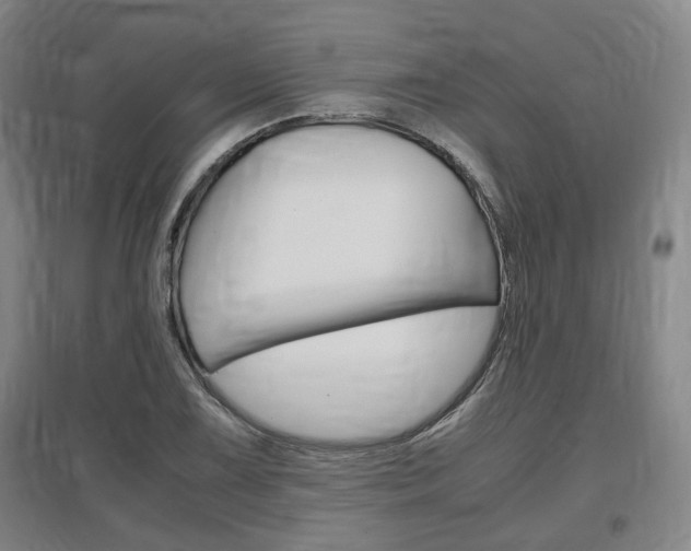 X0000097461075200802220801