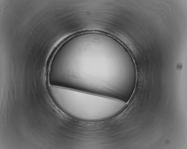 X0000097461076200802220801