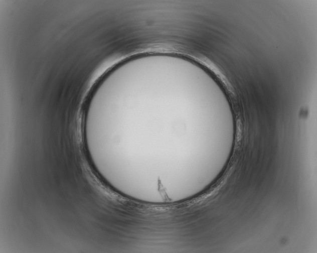 X0000097461078200802220801