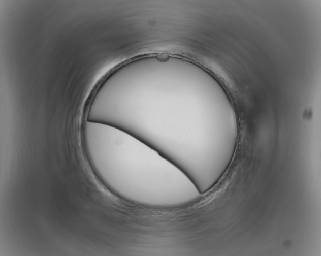 X0000097461079200802220801