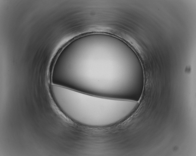 X0000097461080200802220801