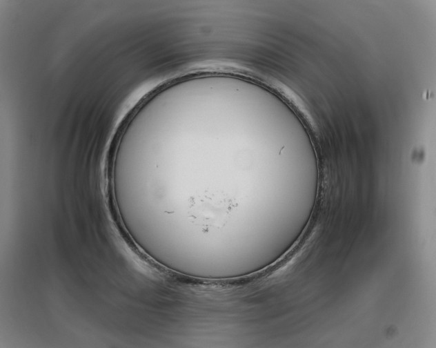 X0000097461082200802220801