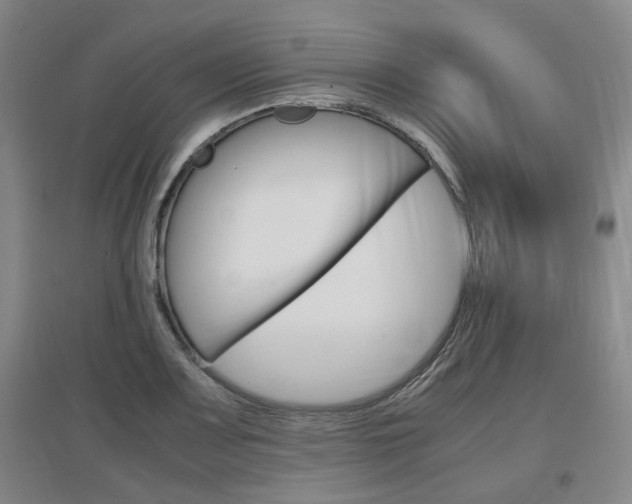 X0000097461083200802220801