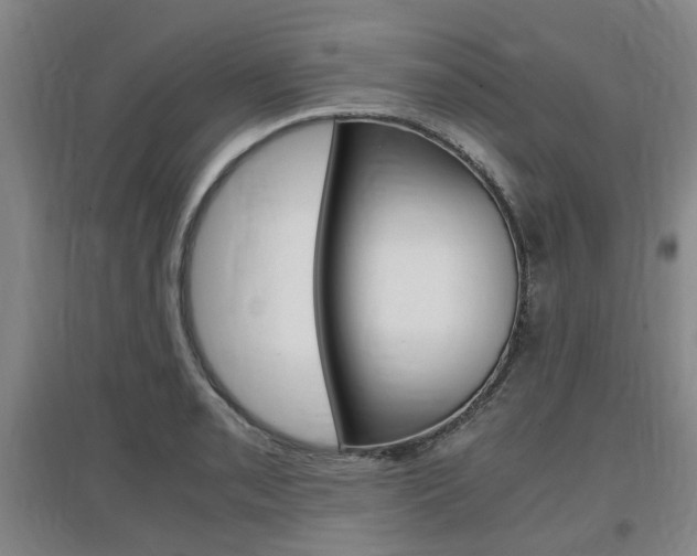 X0000097461085200802220801