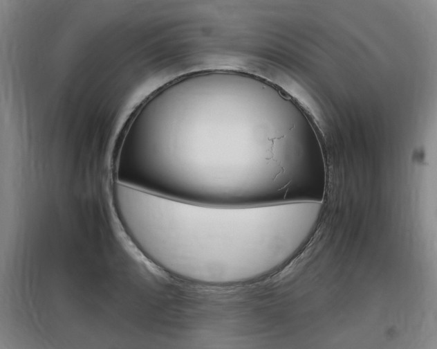 X0000097461088200802220801