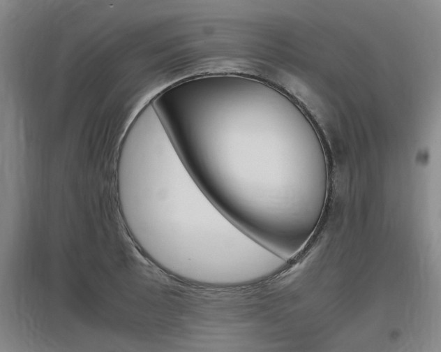 X0000097461089200802220801