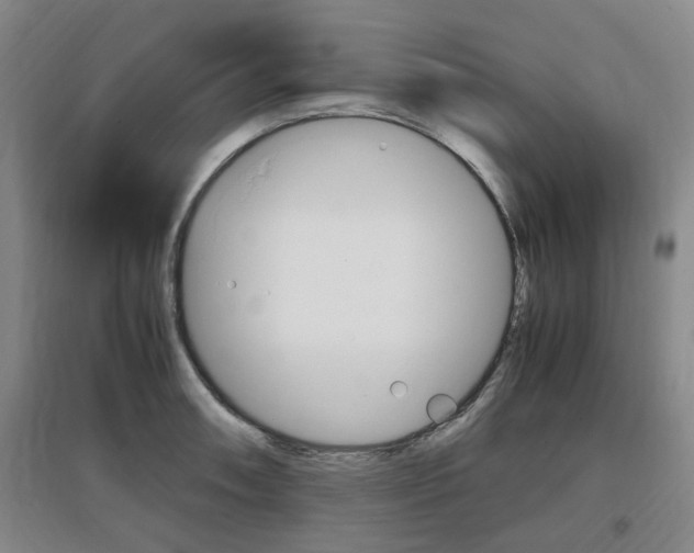 X0000097461090200802220801
