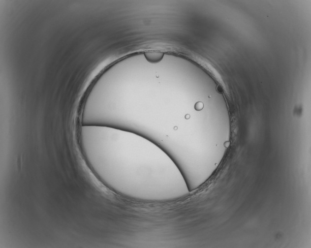 X0000097461091200802220801