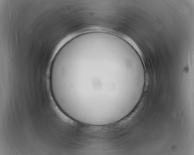 X0000097461098200802220801