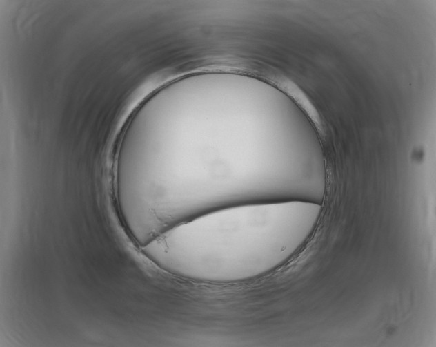 X0000097461099200802220801