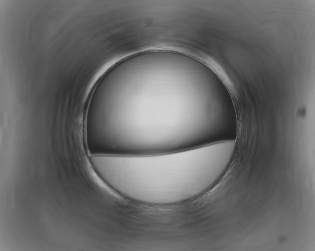 X0000097461100200802220801