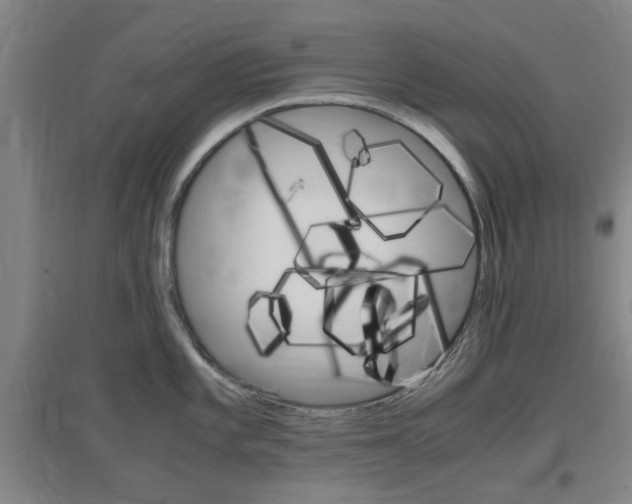 X0000097461101200802220801