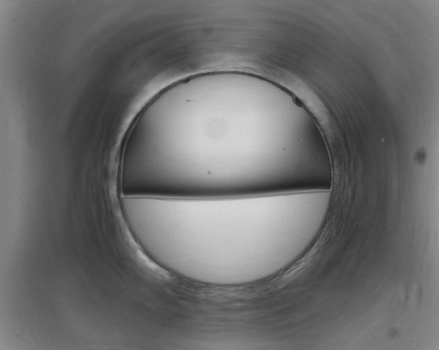 X0000097461102200802220801