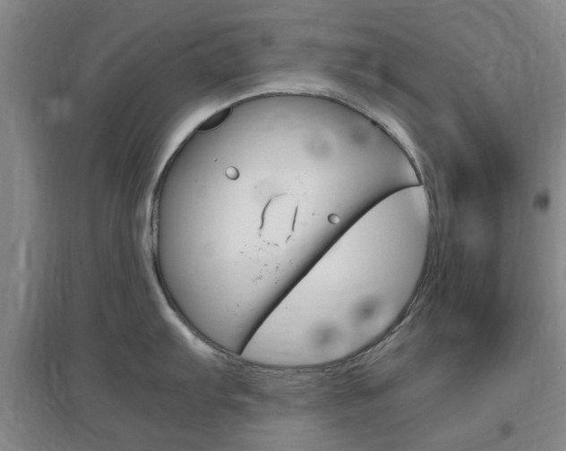 X0000097461103200802220801