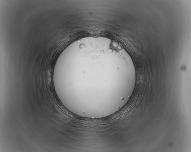 X0000097461106200802220800