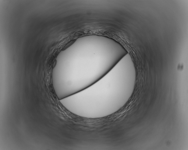 X0000097461109200802220800