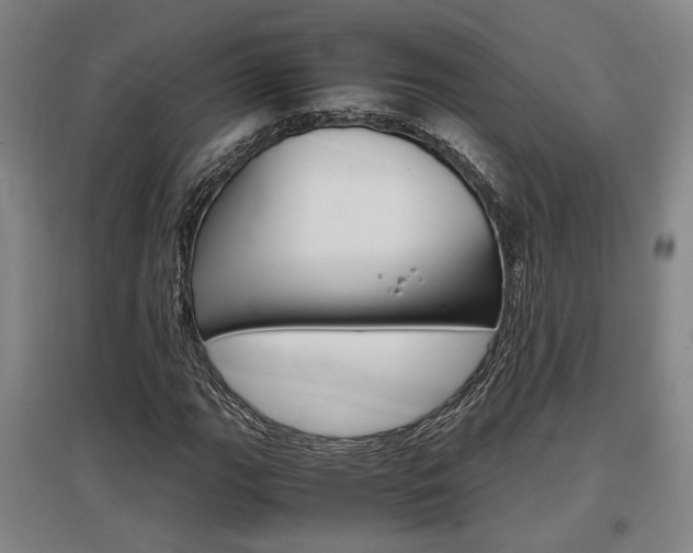 X0000097461111200802220800