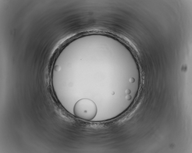 X0000097461117200802220800