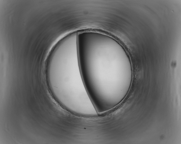 X0000097461118200802220800