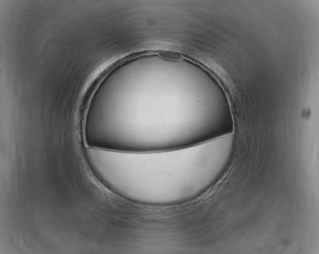 X0000097461120200802220800