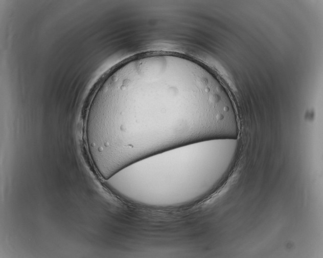 X0000097461125200802220800