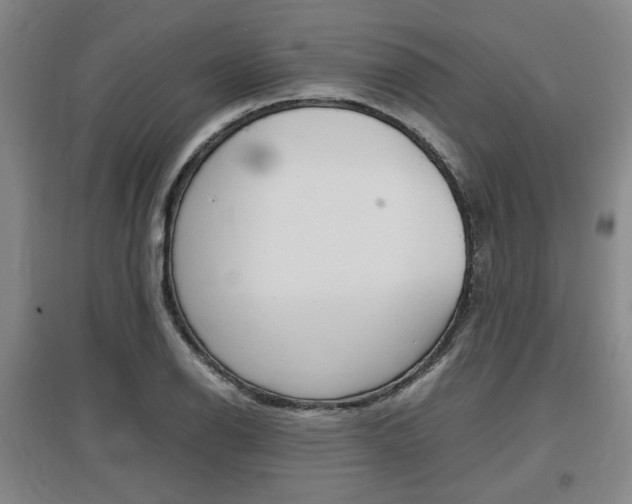 X0000097461126200802220800