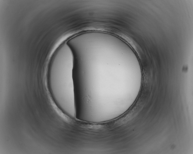 X0000097461131200802220800