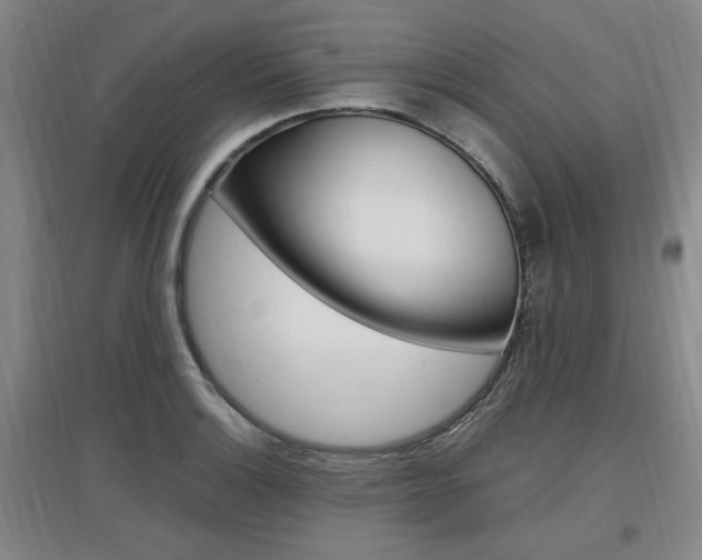 X0000097461132200802220801