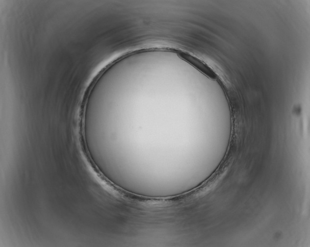 X0000097461134200802220801