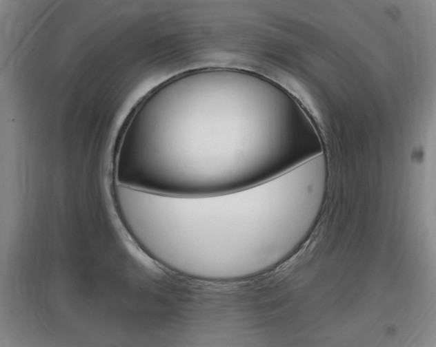 X0000097461136200802220801