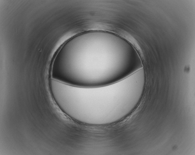 X0000097461138200802220801