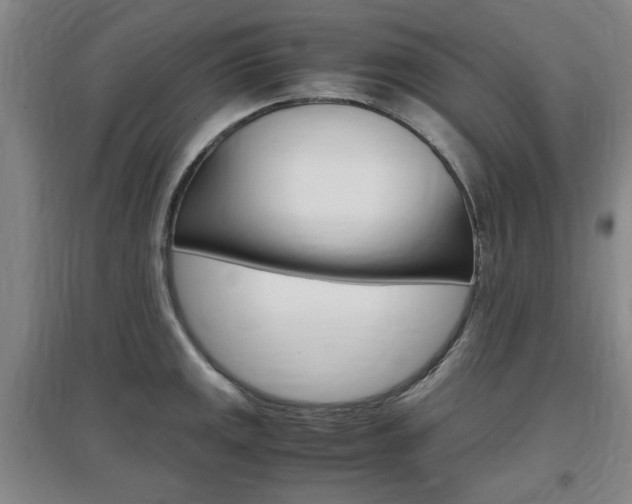 X0000097461141200802220801