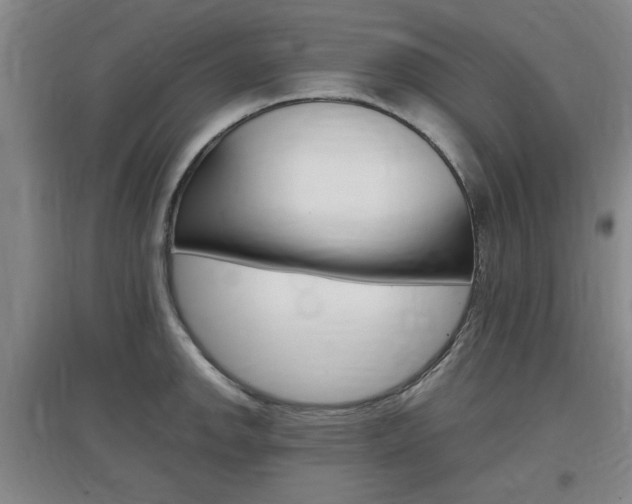 X0000097461142200802220801