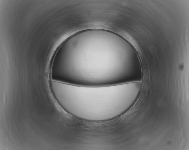 X0000097461144200802220801