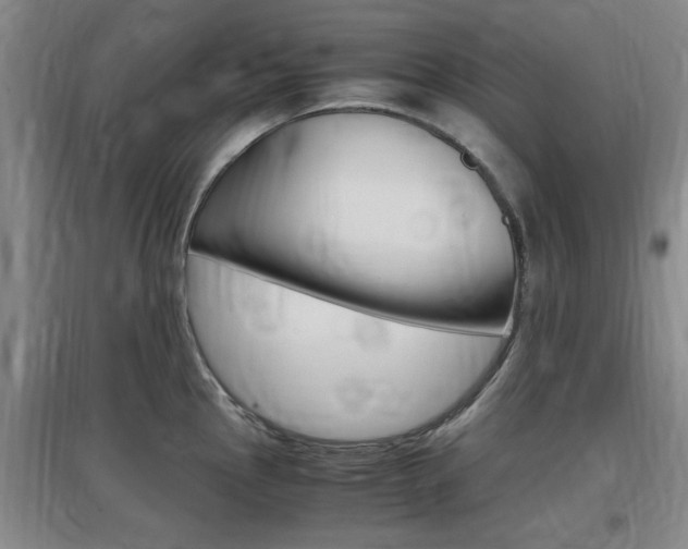 X0000097461145200802220801