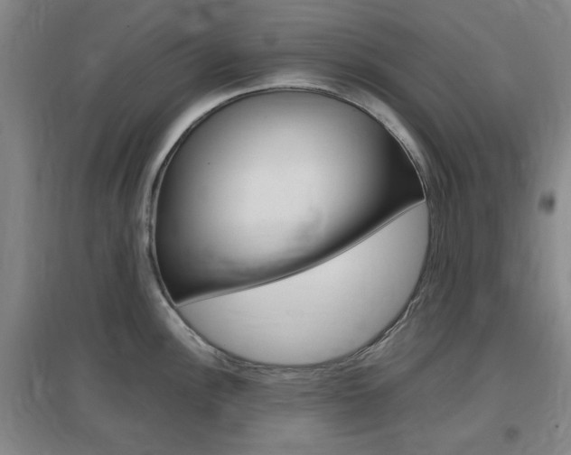 X0000097461148200802220801