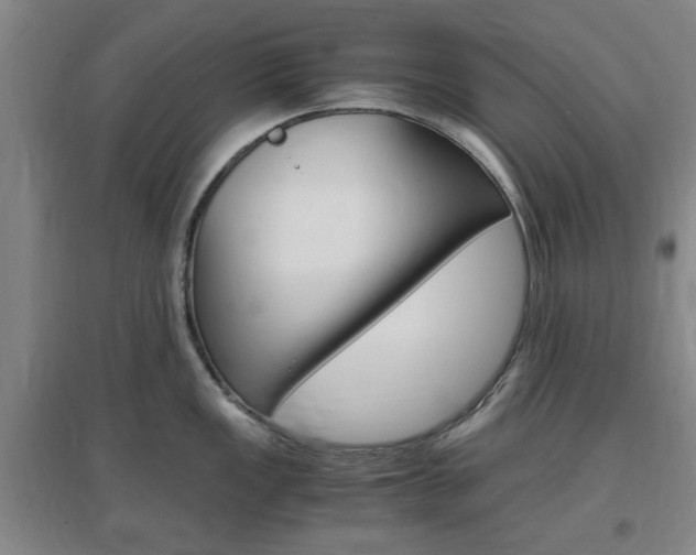 X0000097461149200802220801