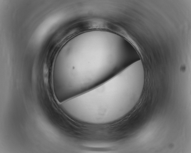 X0000097461151200802220801