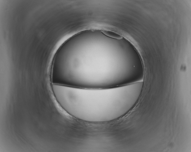 X0000097461152200802220801