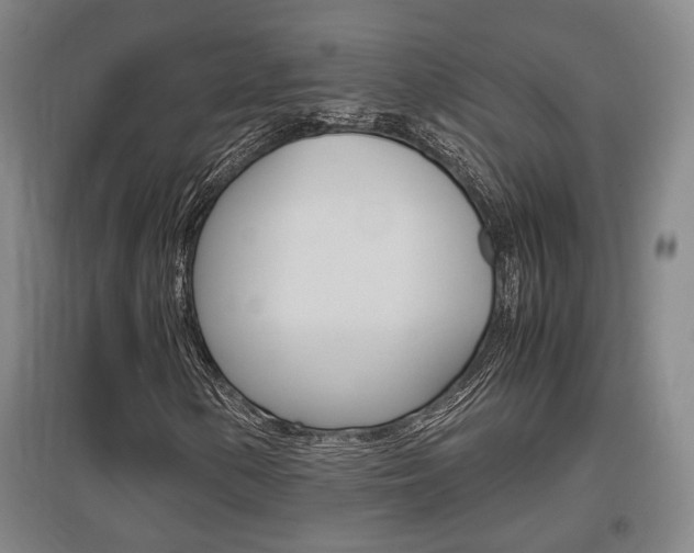 X0000097461154200802220800