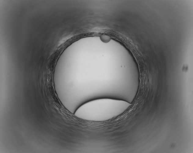 X0000097461158200802220800