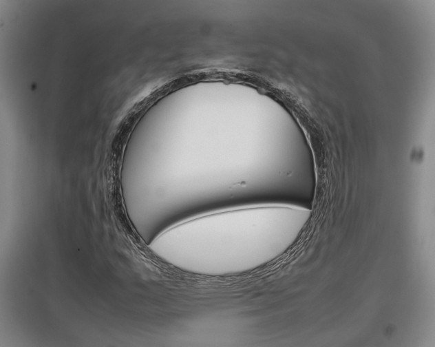 X0000097461159200802220800