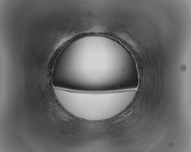 X0000097461160200802220800