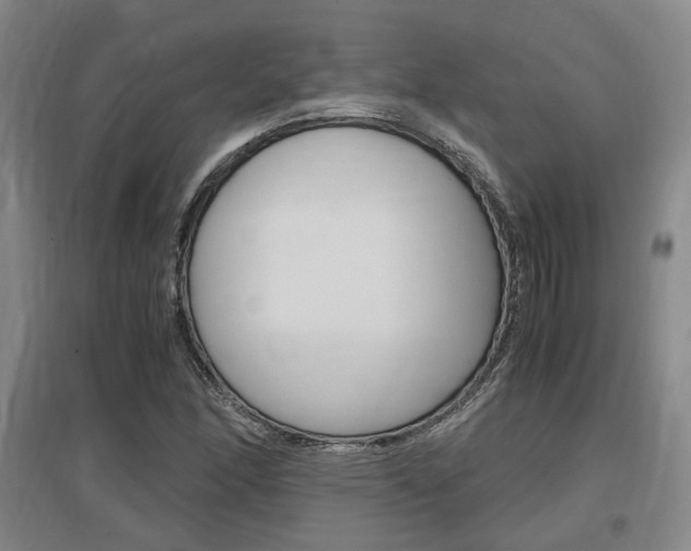 X0000097461166200802220800
