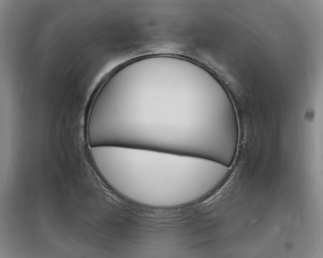 X0000097461174200802220800