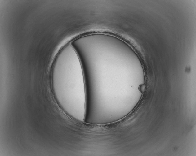 X0000097461175200802220800