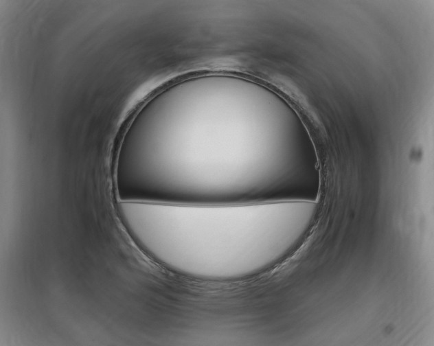 X0000097461176200802220800