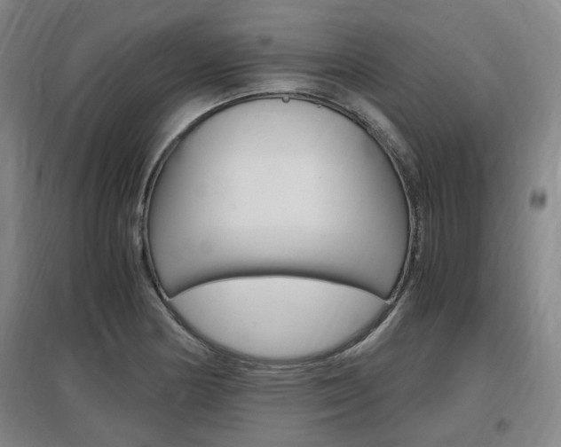 X0000097461178200802220800